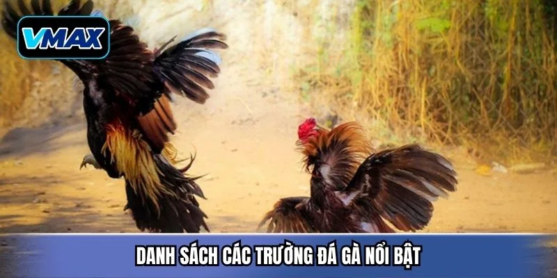 Danh sách các trường đá gà nổi bật