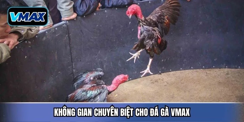 Không gian chuyên biệt cho đá gà Vmax
