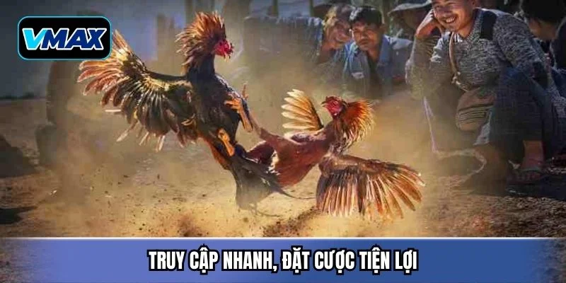 Truy cập nhanh, đặt cược tiện lợi